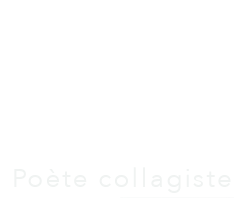 Franke Feedcut — Poète collagiste