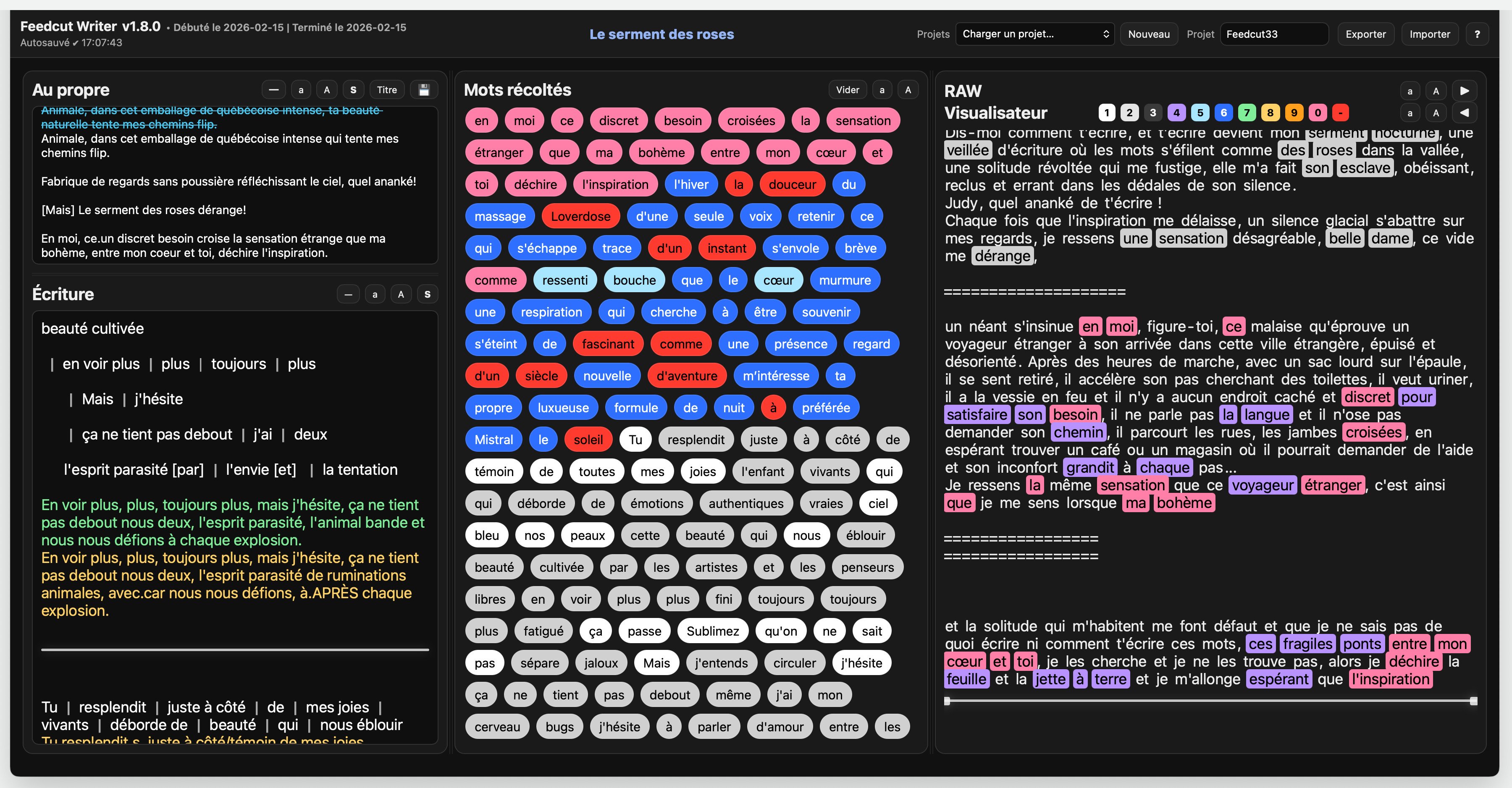Capture d'écran du prototype Feedcut Writer, version 1.8.0